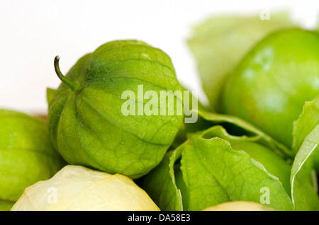 Close-up of Green tomatillo, Physalis philadelphica fruits, sur fond blanc. Banque D'Images