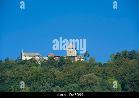 La Suisse, l'Europe, Schaffhouse, Stein am Rhein, château, cité médiévale, Hohenklingen, bois, forêt, Banque D'Images