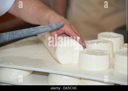 La Suisse, l'Europe, Vaud, Saint George, de l'alimentation, du fromage, de la tradition, fromagerie, craft, AOC, Vacherin, Mont-d'Or, le lait produit, Banque D'Images