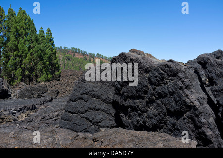 Magma solidifié à partir de la coulée de lave qui a éclaté à partir de 1909 sur Chinyero Tenerife, Canaries, Espagne Banque D'Images