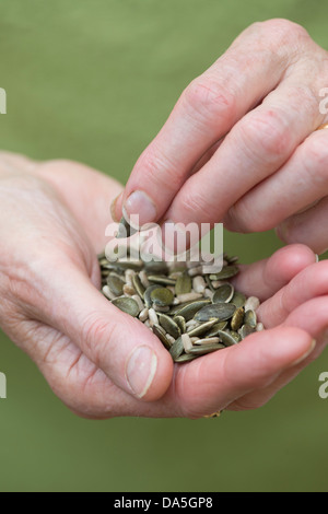 Womans Senior hands holding Tournesol et graines de citrouille Banque D'Images
