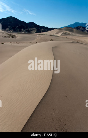 Dunes d'IBEX, vallée de la mort, national, parc, en Californie, les dunes, le désert, USA, United States, Nord, paysage, Banque D'Images