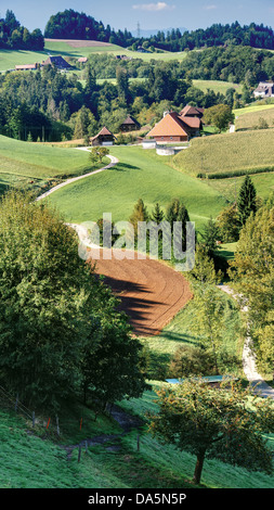 Champ, pays agricole, le paysage agraire, ferme, ferme, Emmental, terrain, maison, maison, cour, cour, Hofholz, canton de Berne, Ber Banque D'Images