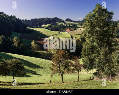 Champ, pays agricole, le paysage agraire, ferme, ferme, Emmental, terrain, maison, maison, cour, cour, Hofholz, canton de Berne, Ber Banque D'Images