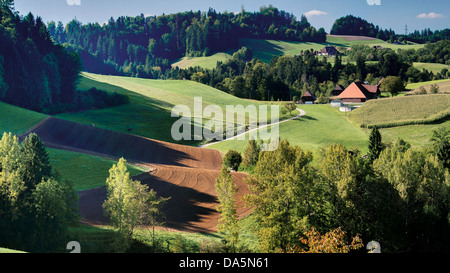 Champ, pays agricole, le paysage agraire, ferme, ferme, Emmental, terrain, maison, maison, cour, cour, Hofholz, canton de Berne, Ber Banque D'Images