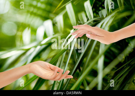 De belles femmes sur le fond vert d'une forêt tropicale feuilles du Banque D'Images