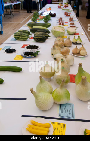 Grande variété de fruits & légumes entrées affichées sur les tables, en compétition aux jardiniers' Show - Burley-en-Wharfedale, West Yorkshire, Angleterre, Royaume-Uni. Banque D'Images