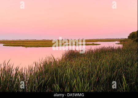 Sanctuary Pond, Parc National de la Pointe-Pelée, Leamington, Ontario, Canada, lac, coucher de soleil, Banque D'Images