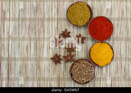 Sélection d'épices indiennes sur bambou with copy space Banque D'Images