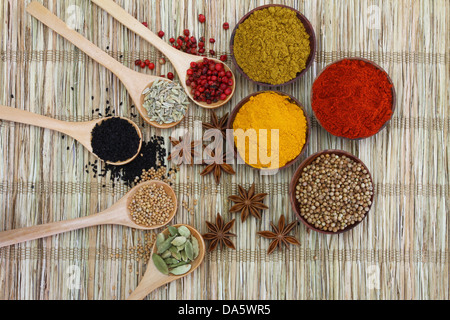 Sélection d'épices indiennes sur le tapis de bambou Banque D'Images