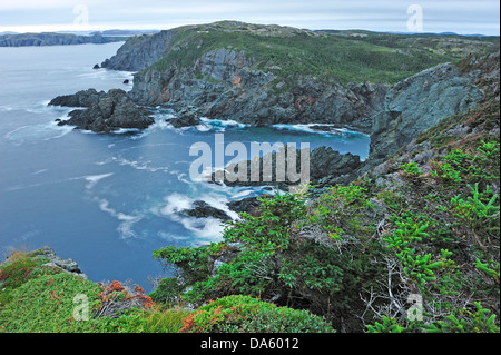 Rocky, robuste, littoral, phare de Long Point, Crow Head, Terre-Neuve, Canada, paysage Banque D'Images