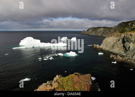 Village, bay, isolé, icebergs, iceberg, Crow Head, Twillingate, Terre-Neuve, Canada, paysage, nature, coast, Rocky Banque D'Images