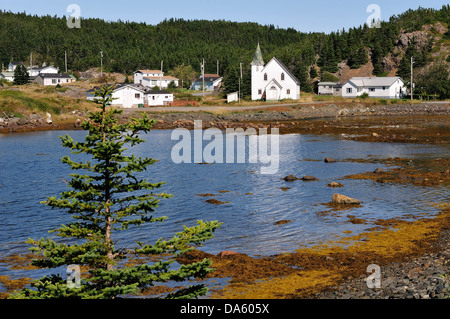 Village de pêcheurs, de la côte du Nord, Terre-Neuve, Canada, village, l'eau, forêt Banque D'Images