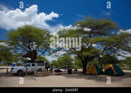 Okaukuejo Rest Camp, Etosha National Park, Namibie, Afrique Banque D'Images