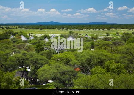 Okaukuejo Rest Camp, Etosha National Park, Namibie, Afrique Banque D'Images