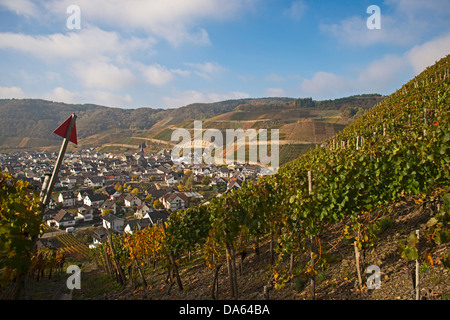 Village viticole, Dernau, la procréation assistée, vignobles, Ingelbach, cultiver, vin rouge, vin rouge, raisin, Eifel, zone de culture Rhineland-Palatina Banque D'Images