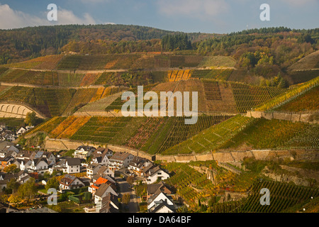 Village viticole, Dernau, la procréation assistée, vignobles, Ahrtal, vin rouge, fin, bourguignonne Portugieser, vin, viticulture, Eifel, Rhineland-Palat Banque D'Images