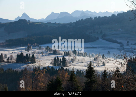 Paysage, Rothenturm, Side Château-Bernard, SZ, montagne, montagnes, automne, nature, bois, forêt, canton, SZ, Schwyz, central Switzerlan Banque D'Images