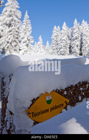 Sentier, bois d'hiver, montagne, montagne, paysage, paysage, hiver, canton, VD, Vaud, arbre, arbres, signe, bouclier, Suisse Banque D'Images