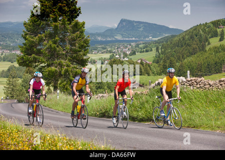 Tour en vélo, vélo de course, le Col du Marchairuzbei, Le Brassus, location, vélos, vélo, équitation, vélo, Tourisme, vacances, ca Banque D'Images