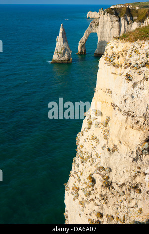 Etretat, France, Europe, Normandie, département Seine Maritime, mer, côte, raide, chalk rock, arc Banque D'Images