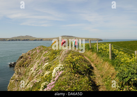 Les promeneurs sur le chemin de la côte du Pembrokeshire, au printemps près de St Justinians en regardant vers l'île de Ramsey, Pembrokeshire Wales Cymru uK Banque D'Images