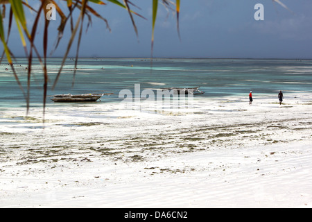 Dhaw traditionnel voiliers s'échouer à marée basse le long d'une plage de sable blanc à Zanzibar Banque D'Images