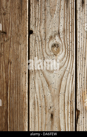 Des planches de bois consommé par la texture de fond ver Banque D'Images