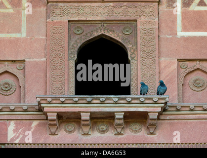 Pigeons sur un balcon avec éléments décoratifs sculptés dans le grès, le Fort Rouge Banque D'Images