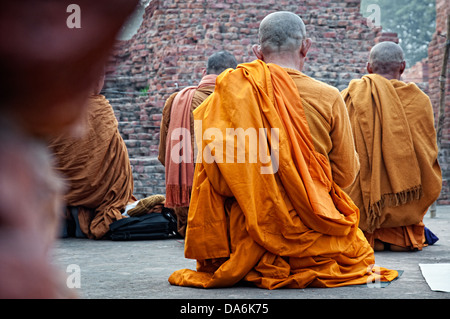 Les moines bouddhiste priant dans Le Dhamekh Stoupa s, Sarnath, Uttar Pradesh, Inde Banque D'Images