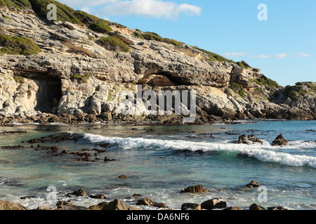 Bouche de Klipgat Cave - un âge de pierre, troglodyte, Gansbaai Province de Western Cape, Afrique du Sud Banque D'Images