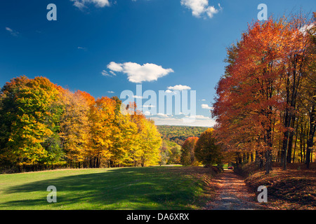 CHEMIN À TRAVERS LA FORÊT FOXBURG CLARION COUNTY PENNSYLVANIA USA Banque D'Images