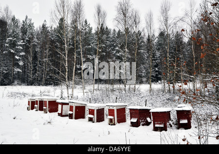 Ruches rouge en hiver Banque D'Images