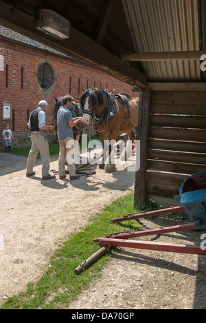 Une paire de chevaux lourds se préparer à farmwork à Acton Scott ferme. Le Shropshire Banque D'Images