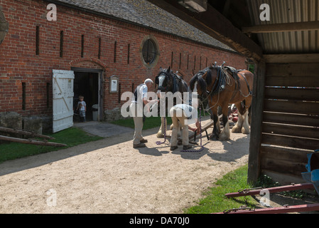 Une paire de chevaux lourds se préparer à farmwork à Acton Scott ferme. Le Shropshire Banque D'Images