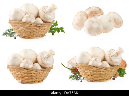 Champignons dans panier en osier isolé sur fond blanc Banque D'Images