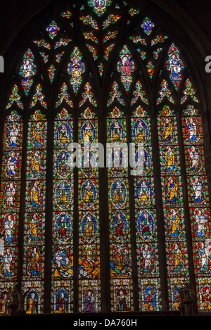 La fenêtre de Jesse dans l'église de St Mary the Virgin, Shrewsbury, Shropshire Banque D'Images