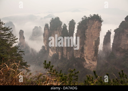 Les montagnes de Zhangjiajie mystérieux. Banque D'Images
