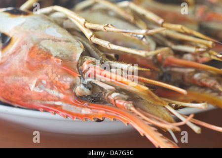 Crevettes grillées sont placés sur une plaque Banque D'Images