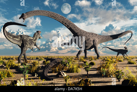 L'Allosaurus Diplodocus & Confrontation Banque D'Images