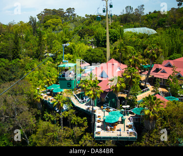 Skyfari téléphérique sur Zoo de San Diego le Août 13, 2012 Banque D'Images