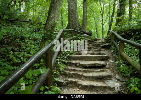 Natural Bridge State Resort Park, Slade, Kentucky, États-Unis d'Amérique Banque D'Images