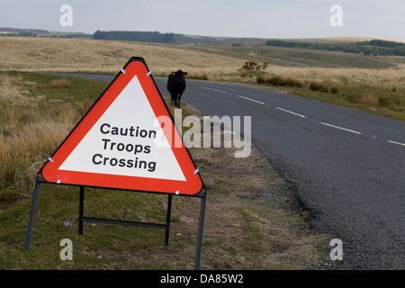 Les troupes de prudence panneau de passage à niveau, sur une route dans le Dartmoor National Park avec une vache sur la route Bos primigenius Banque D'Images