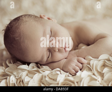 Belle chambre bébé nouveau-né sur pétales
