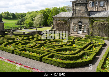 Les haies dans le jardin topiaire de Pollok House, Glasgow, Ecosse Banque D'Images