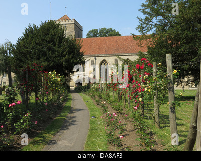 Jardin & cimetière de belles Culham église abbatiale de St Peter et St Paul Banque D'Images