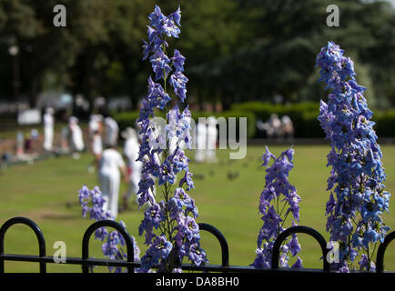 Tamworth, UK. 7 juillet, 2013. Un regard sur la peinture un glorieux après-midi d'été à Tamworth Staffordshire. Crédit : Chris Gibson/Alamy Live News Banque D'Images