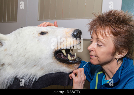 Femme a l'air d'ours blancs dans la bouche à Parcs Canada Museum à Churchill, MB Banque D'Images