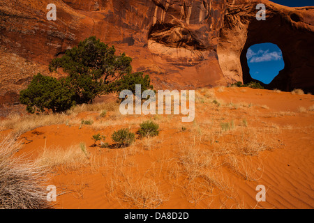 Rock formation avec trou à l'arbre en premier plan à Monument Valley, UT Banque D'Images