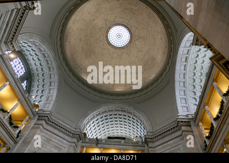 Dôme classique avec oculus, plafond voûté et caissons détails dans le Musée National d'Histoire Naturelle à Washington DC. Banque D'Images